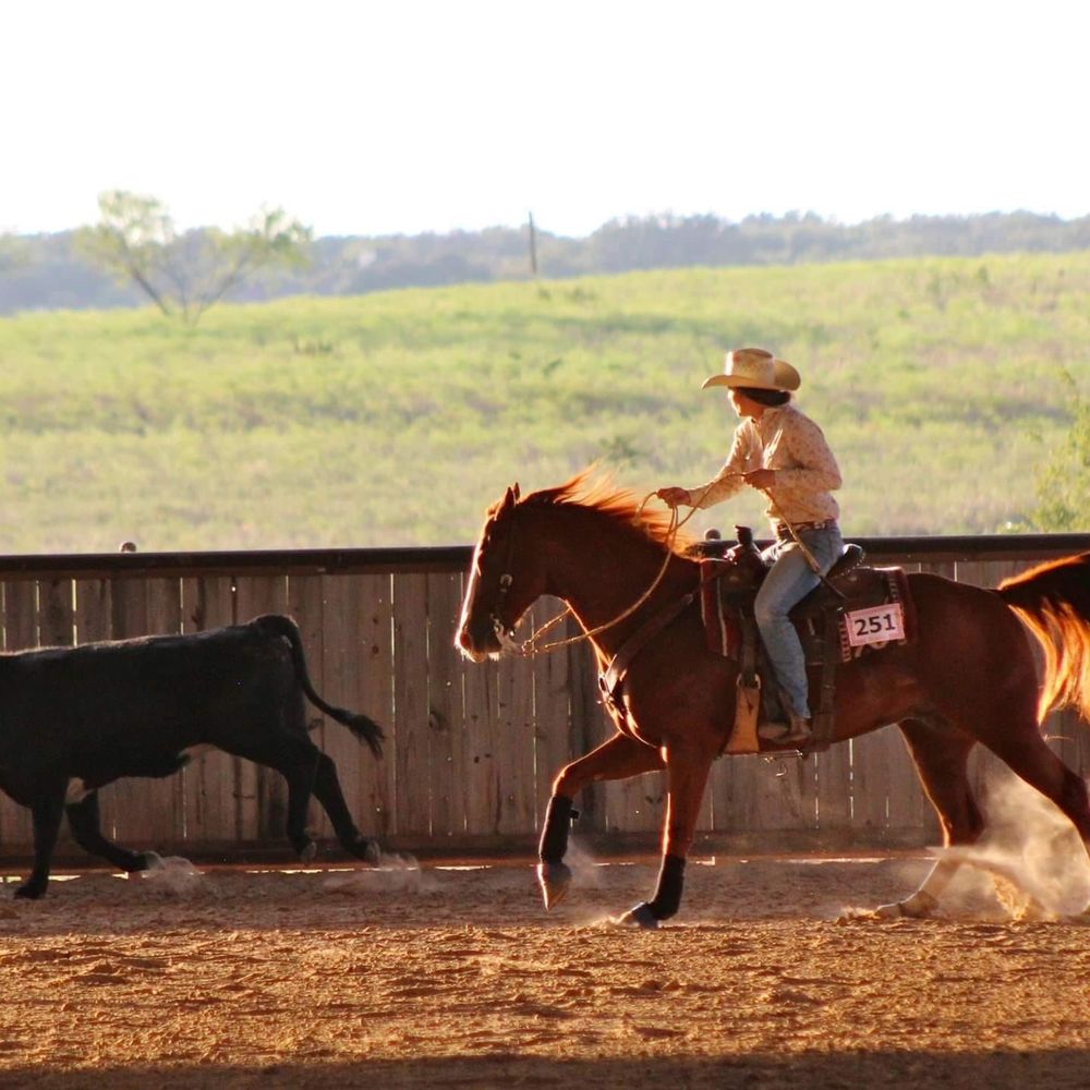 Meet your Posher, Jodie